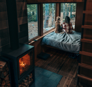 Modern Cabin
