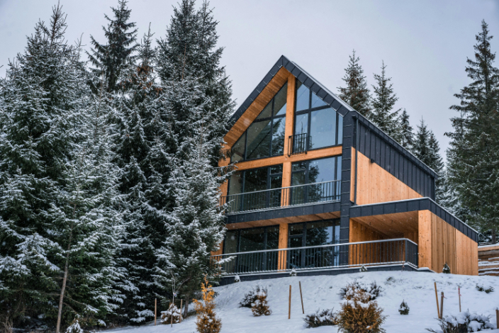 Modern Cabin Design