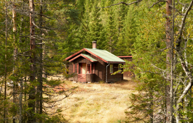 Small Cabin