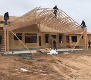 Home building in the spring/winter