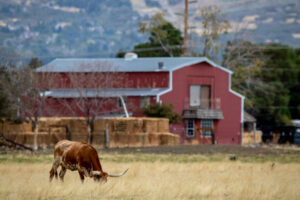 Barndominiums in Southern Utah